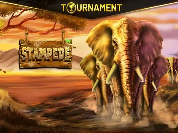 Stampede